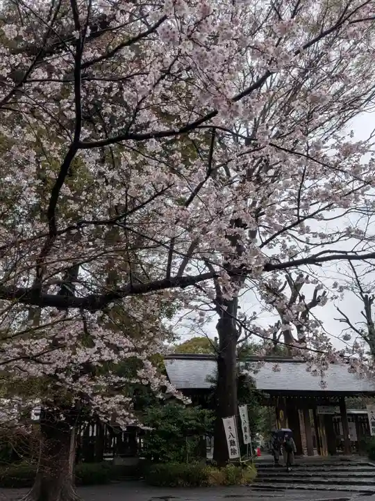 阿佐ヶ谷神明宮(東京都)