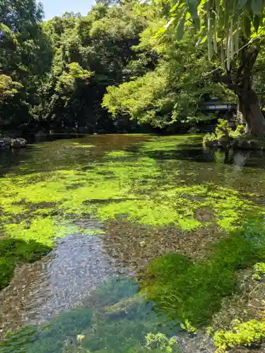 富士山本宮浅間大社の庭園