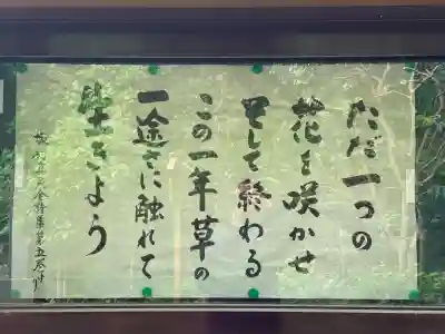 黄梅院(円覚寺塔頭)の{uncategorized: "未分類", other: "その他", undefined: "問題あり", building: "その他建物", grave: "お墓", sacred_gate: "鳥居", guardian: "狛犬", statue: "像", buddha: "仏像", history: "歴史", nature: "自然", garden: "庭園", animal: "動物", pagoda: "塔", temizu: "手水舎", mountain_gate: "山門・神門", sanctuary: "本殿・本堂", subordinate: "末社・摂社", art: "芸術", scenery: "景色", jizo: "地蔵", ema: "絵馬", goshuin: "御朱印", omikuji: "おみくじ", items: "授与品その他", amulet: "お守り", goshuincho: "御朱印帳", eats: "食事", festival: "お祭り", votive_dance: "神楽", shichigosan: "七五三参", wedding: "結婚式", experience: "体験その他", initially: "初詣", around: "周辺", anti_infection: "感染症対策"}