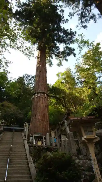 由岐神社のその他建物