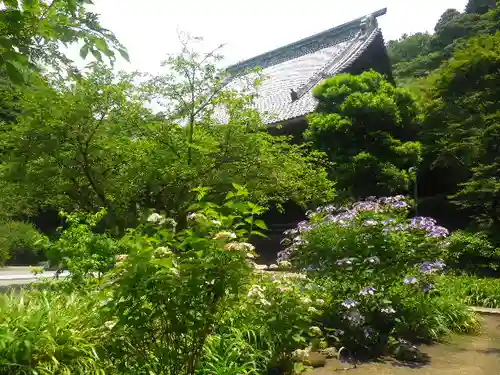 妙本寺の庭園