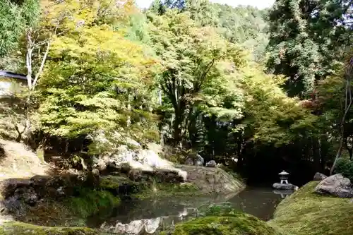 常照皇寺の庭園