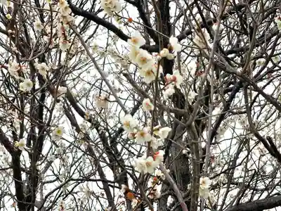 八宮赤山神社(滋賀県)