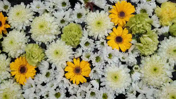 法輪寺の手水舎