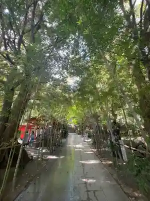 來宮神社(静岡県)