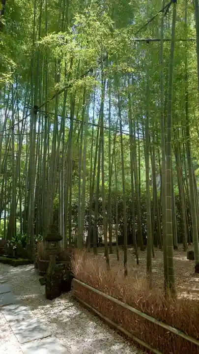 報国寺(神奈川県)
