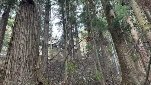 戸隠神社宝光社の自然