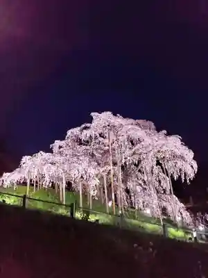 瀧桜神明宮(福島県)