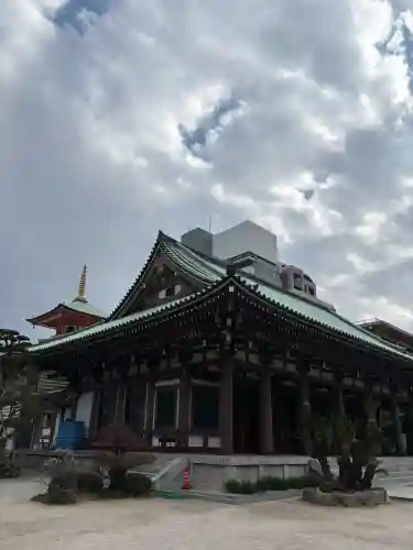 東長寺の{uncategorized: "未分類", other: "その他", undefined: "問題あり", building: "その他建物", grave: "お墓", sacred_gate: "鳥居", guardian: "狛犬", statue: "像", buddha: "仏像", history: "歴史", nature: "自然", garden: "庭園", animal: "動物", pagoda: "塔", temizu: "手水舎", mountain_gate: "山門・神門", sanctuary: "本殿・本堂", subordinate: "末社・摂社", art: "芸術", scenery: "景色", jizo: "地蔵", ema: "絵馬", goshuin: "御朱印", omikuji: "おみくじ", items: "授与品その他", amulet: "お守り", goshuincho: "御朱印帳", eats: "食事", festival: "お祭り", votive_dance: "神楽", shichigosan: "七五三参", wedding: "結婚式", experience: "体験その他", initially: "初詣", around: "周辺", anti_infection: "感染症対策"}