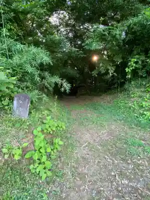 坂戸神社(茨城県)