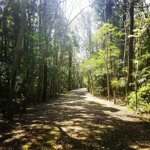 鹿島神宮の自然