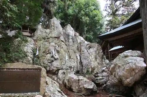 鹿島大神宮の自然