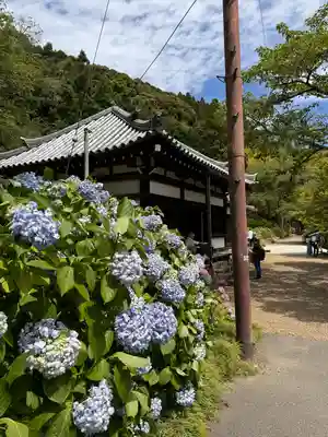 矢田寺(奈良県)