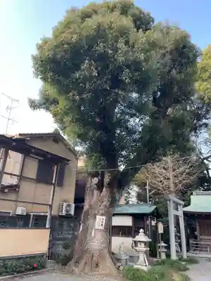 山王神社(京都府)