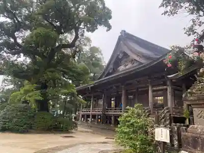 青岸渡寺(和歌山県)