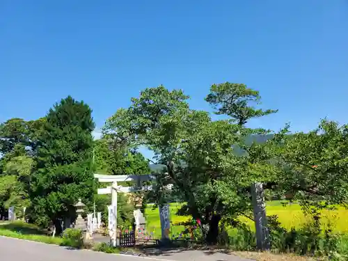 高司神社〜むすびの神の鎮まる社〜の景色