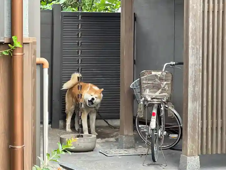 玉林寺(愛知県)