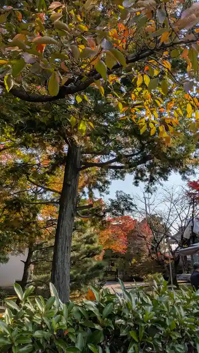 法金剛院(京都府)