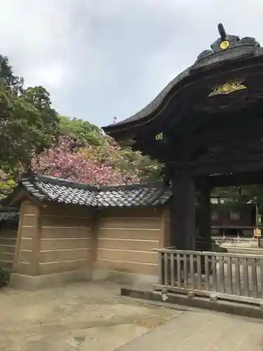 円覚寺の山門・神門