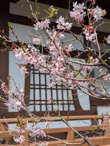 養源寺(東京都)