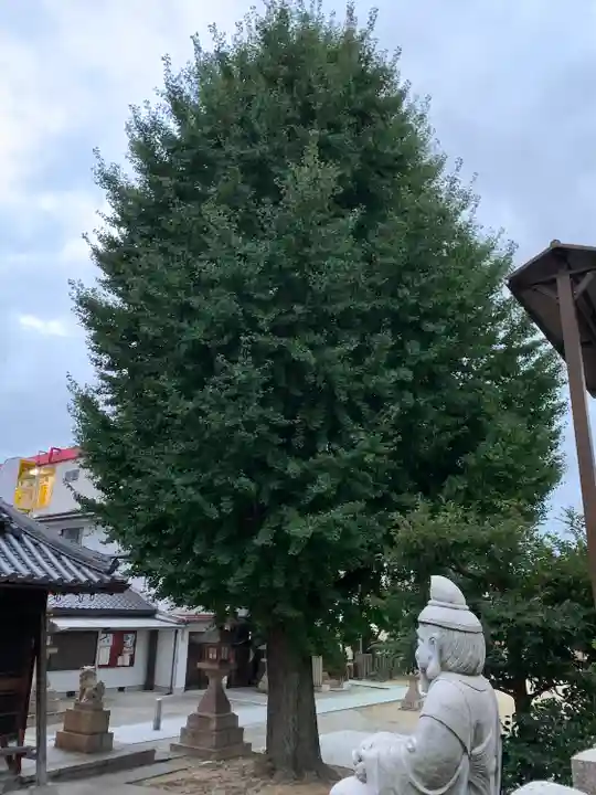 住吉神社の自然
