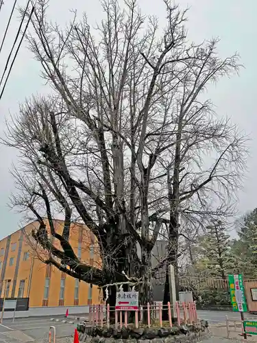 津島神社の周辺