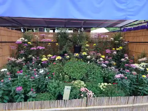 宗像大社(福岡県)