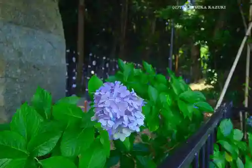 泉神社(茨城県)