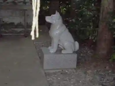 座間神社の狛犬