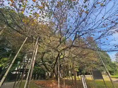 伊佐須美神社(福島県)