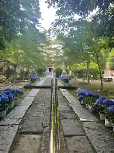 国上寺(新潟県)(2025年07月13日(日) 23時48分14秒投稿)