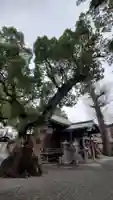蟻通神社の本殿・本堂