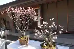 菅原天満宮（菅原神社）(奈良県)