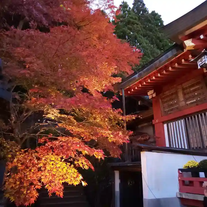 大山阿夫利神社のその他建物