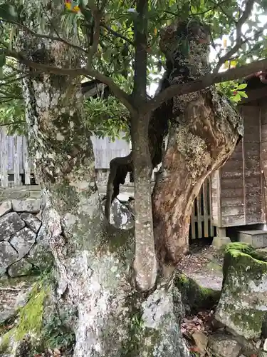 勝日高守神社のその他建物