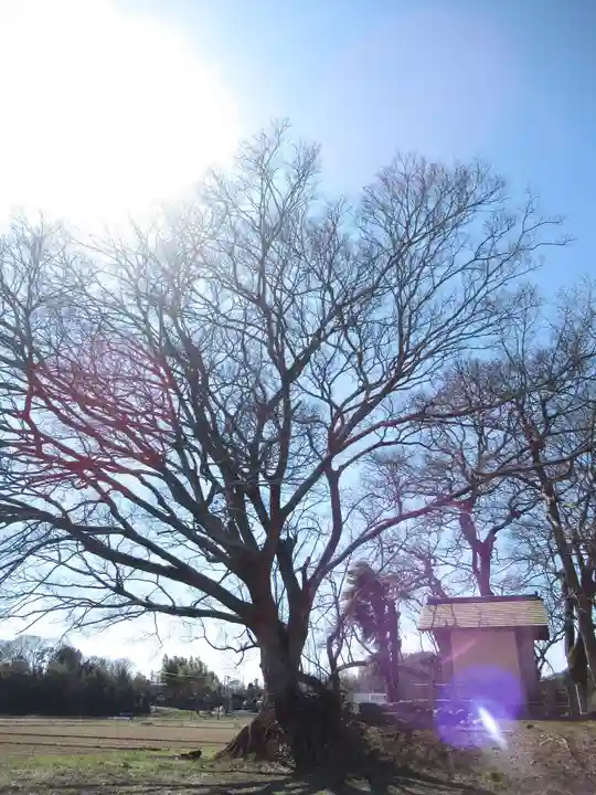 神明神社(千葉県)