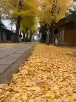 駒込天祖神社(東京都)
