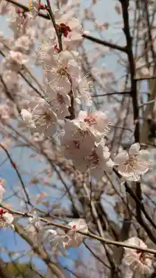  智積院(京都府)