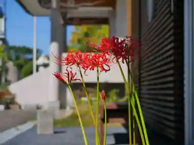 極楽山　浄土寺(北海道)