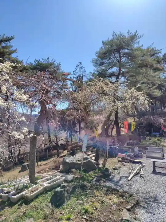 不動寺(埼玉県)