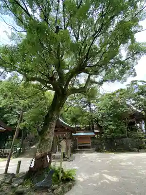 志賀海神社(福岡県)