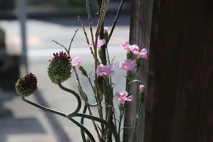 豊景神社の自然