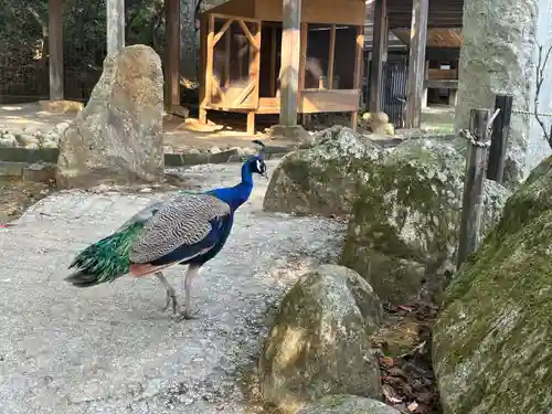 楽法寺（雨引観音）(茨城県)