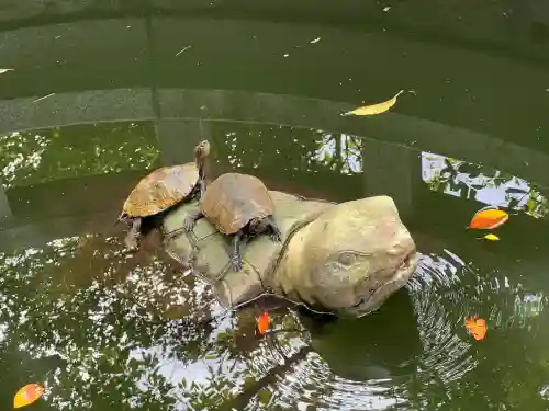 丹後一ノ宮 元伊勢 籠神社の{uncategorized: "未分類", other: "その他", undefined: "問題あり", building: "その他建物", grave: "お墓", sacred_gate: "鳥居", guardian: "狛犬", statue: "像", buddha: "仏像", history: "歴史", nature: "自然", garden: "庭園", animal: "動物", pagoda: "塔", temizu: "手水舎", mountain_gate: "山門・神門", sanctuary: "本殿・本堂", subordinate: "末社・摂社", art: "芸術", scenery: "景色", jizo: "地蔵", ema: "絵馬", goshuin: "御朱印", omikuji: "おみくじ", items: "授与品その他", amulet: "お守り", goshuincho: "御朱印帳", eats: "食事", festival: "お祭り", votive_dance: "神楽", shichigosan: "七五三参", wedding: "結婚式", experience: "体験その他", initially: "初詣", around: "周辺", anti_infection: "感染症対策"}