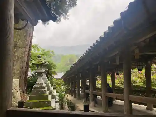 長谷寺の{uncategorized: "未分類", other: "その他", undefined: "問題あり", building: "その他建物", grave: "お墓", sacred_gate: "鳥居", guardian: "狛犬", statue: "像", buddha: "仏像", history: "歴史", nature: "自然", garden: "庭園", animal: "動物", pagoda: "塔", temizu: "手水舎", mountain_gate: "山門・神門", sanctuary: "本殿・本堂", subordinate: "末社・摂社", art: "芸術", scenery: "景色", jizo: "地蔵", ema: "絵馬", goshuin: "御朱印", omikuji: "おみくじ", items: "授与品その他", amulet: "お守り", goshuincho: "御朱印帳", eats: "食事", festival: "お祭り", votive_dance: "神楽", shichigosan: "七五三参", wedding: "結婚式", experience: "体験その他", initially: "初詣", around: "周辺", anti_infection: "感染症対策"}