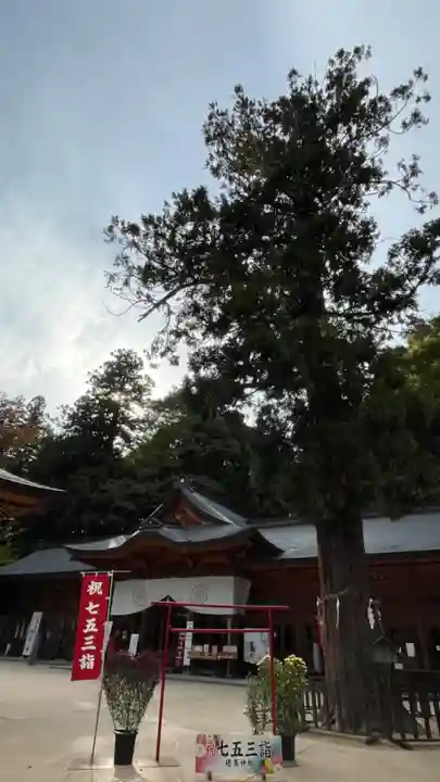 穂高神社本宮(長野県)