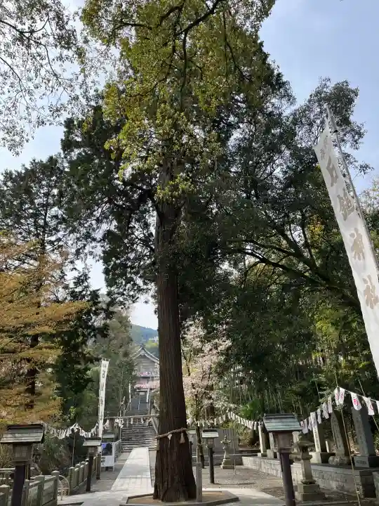石鎚神社 口之宮 本社(愛媛県)