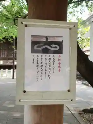 熊野神社(東京都)