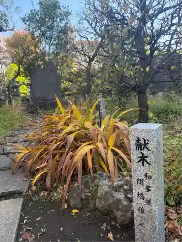 布多天神社(東京都)