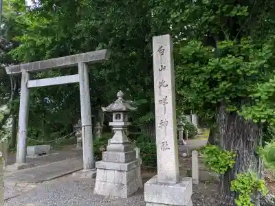 白山比咩神社の{uncategorized: "未分類", other: "その他", undefined: "問題あり", building: "その他建物", grave: "お墓", sacred_gate: "鳥居", guardian: "狛犬", statue: "像", buddha: "仏像", history: "歴史", nature: "自然", garden: "庭園", animal: "動物", pagoda: "塔", temizu: "手水舎", mountain_gate: "山門・神門", sanctuary: "本殿・本堂", subordinate: "末社・摂社", art: "芸術", scenery: "景色", jizo: "地蔵", ema: "絵馬", goshuin: "御朱印", omikuji: "おみくじ", items: "授与品その他", amulet: "お守り", goshuincho: "御朱印帳", eats: "食事", festival: "お祭り", votive_dance: "神楽", shichigosan: "七五三参", wedding: "結婚式", experience: "体験その他", initially: "初詣", around: "周辺", anti_infection: "感染症対策"}